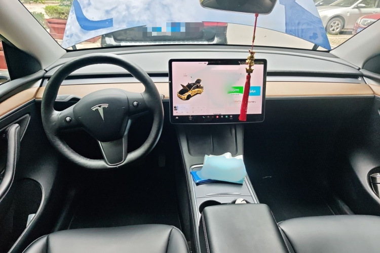 Tesla Model Y 2021 #12 Tesla Model Y 2021 car image #12