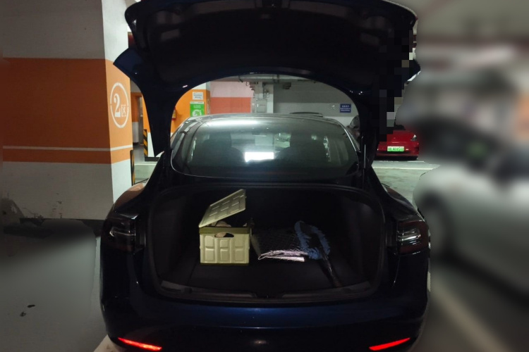 Tesla Model 3 2020 #17 Tesla Model 3 2020 car image #17