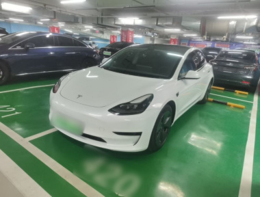Tesla Model 3 2021 Tesla Model 3 2021 car image