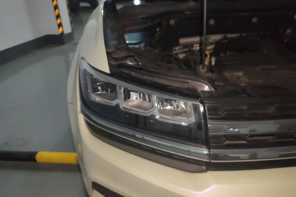 Volkswagen Tharu 2019 car image #7