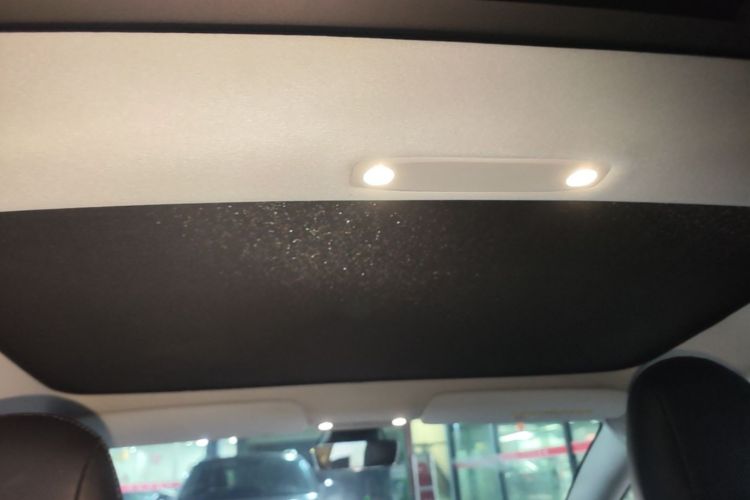 Tesla Model 3 2020 car image #18