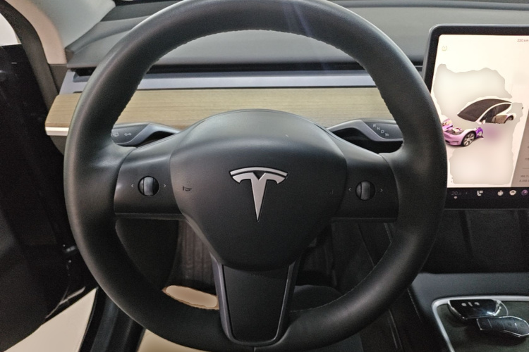 Tesla Model Y 2023 #11 Tesla Model Y 2023 car image #11