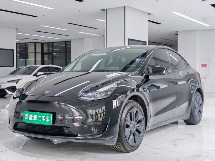 Tesla Model Y 2024 Tesla Model Y 2024 car image