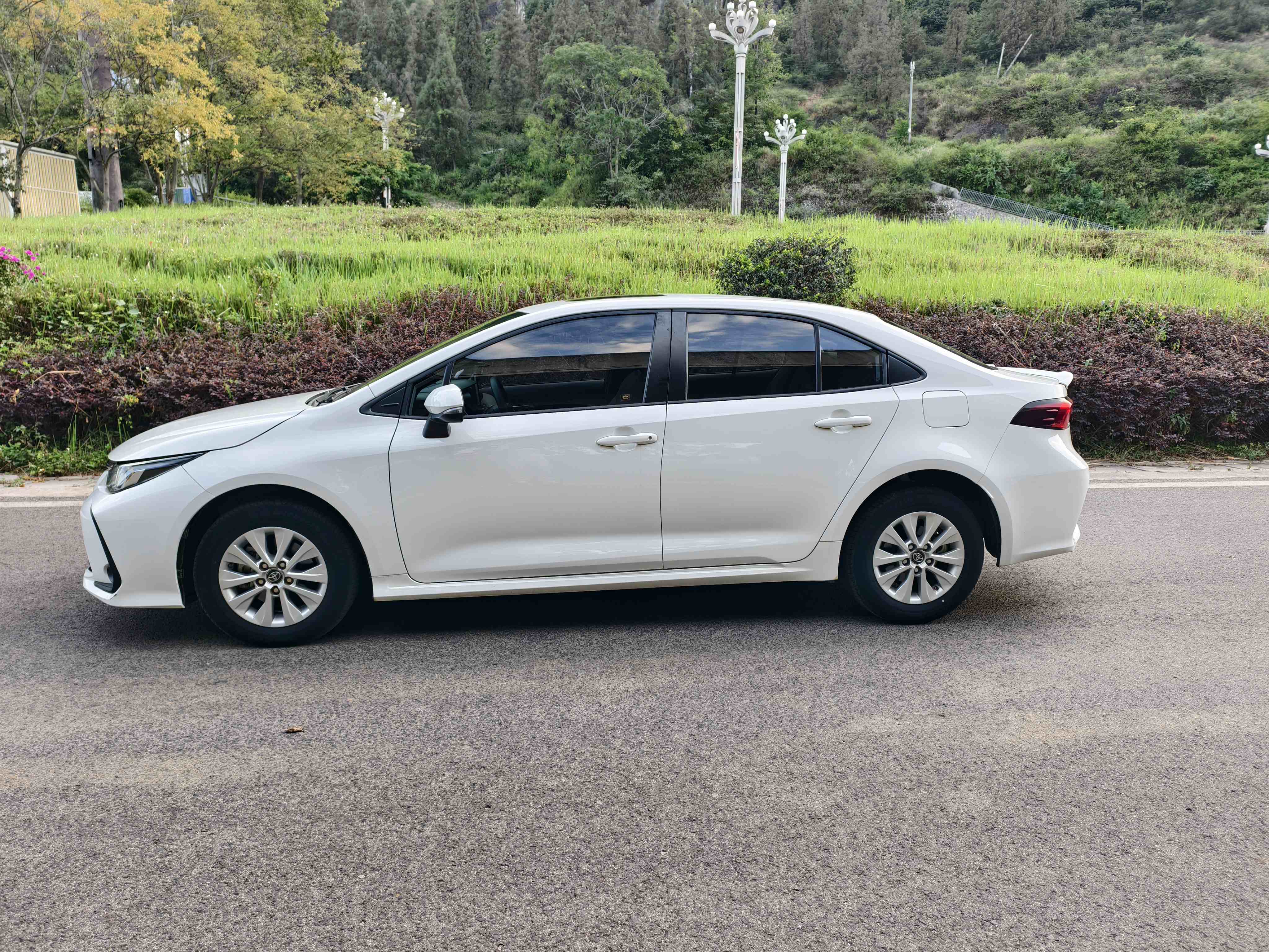 Toyota Corolla 2020 #11 Toyota Corolla 2020 car image #11