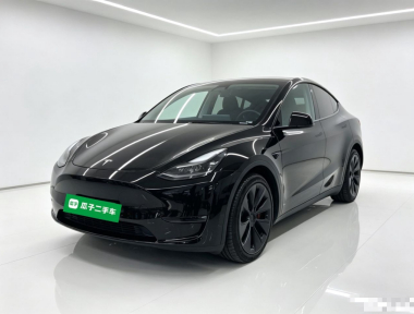 Tesla Model Y 2021 Tesla Model Y 2021 car image