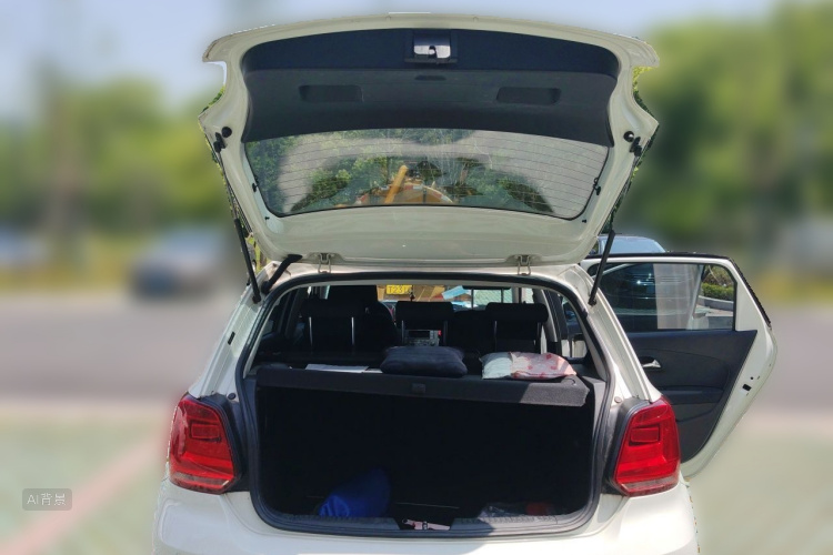 Volkswagen Polo 2016 car image #21