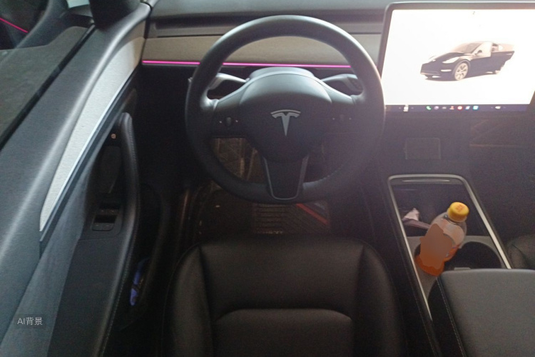 Tesla Model Y 2023 car image #12