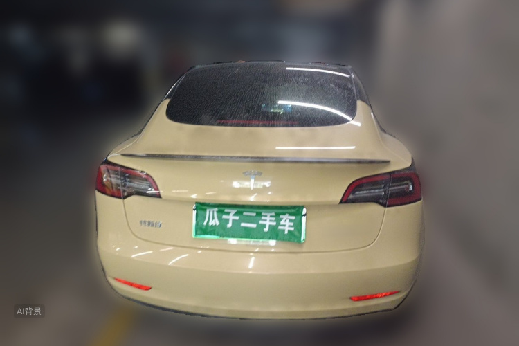 Tesla Model 3 2022 #6 Tesla Model 3 2022 car image #6