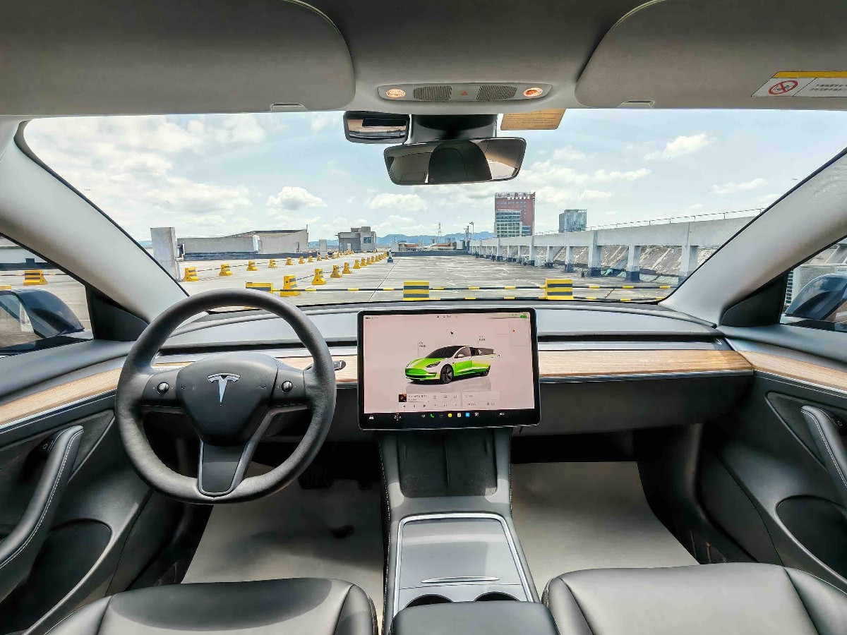Tesla Model 3 2022 car image #7