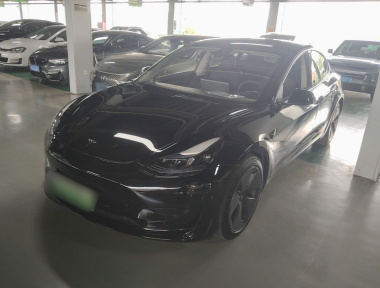 Tesla Model 3 2022 Tesla Model 3 2022 car image