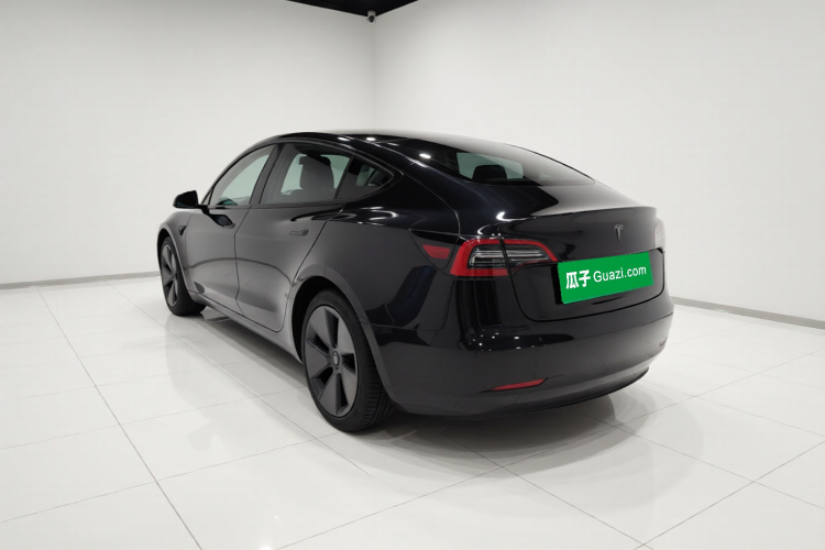 Tesla Model 3 2021 car image #5