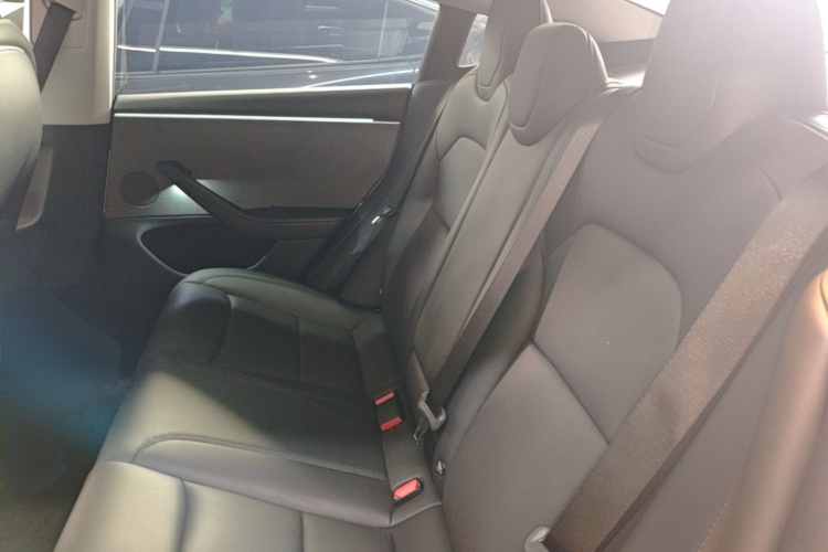 Tesla Model 3 2024 car image #17