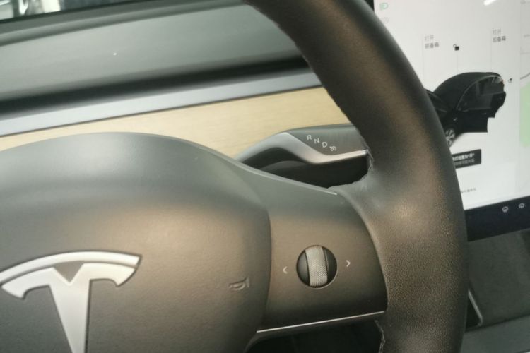 Tesla Model Y 2021 #14 Tesla Model Y 2021 car image #14