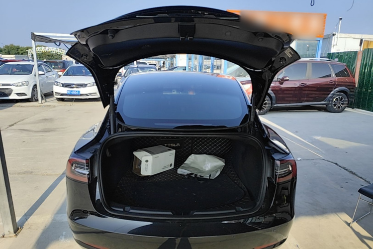 Tesla Model 3 2021 #19 Tesla Model 3 2021 immagine di auto #19