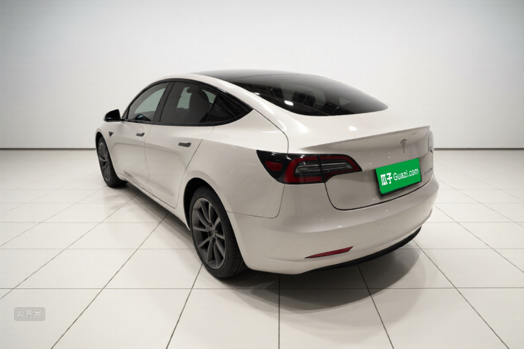 Tesla Model 3 2021 car image #5