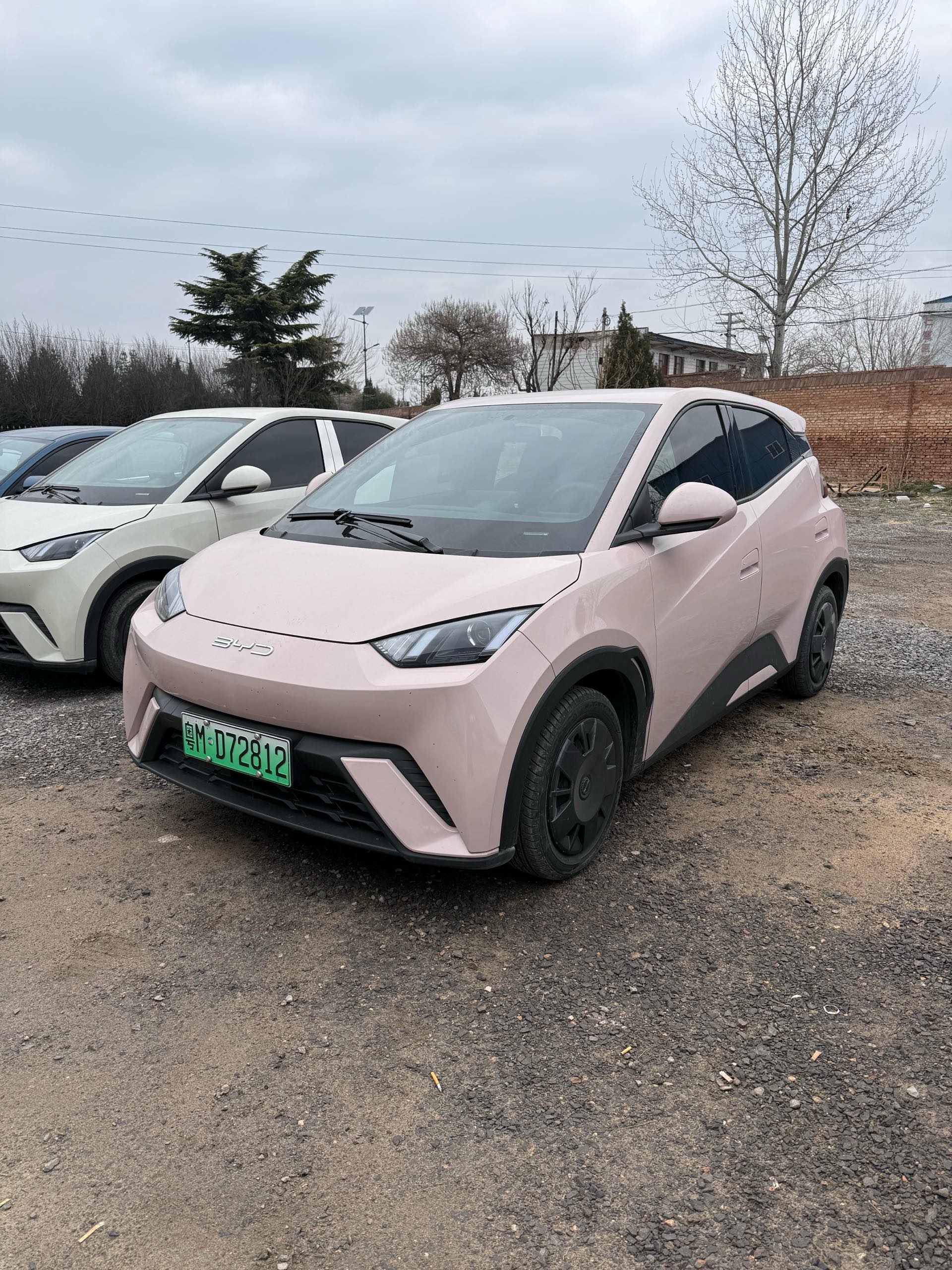 BYD Seagull 2023 immagine di auto 