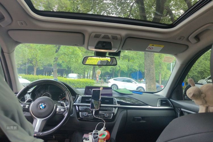 BMW 3 Series 2018 car image #20
