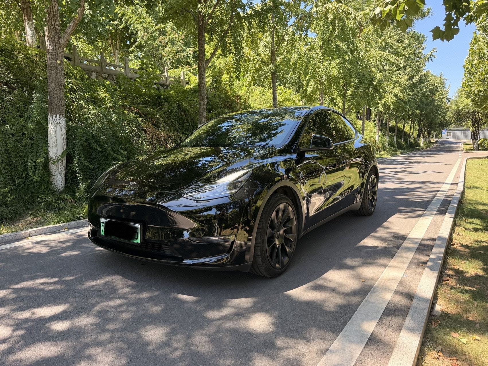 Tesla Model Y 2021 Tesla Model Y 2021 car image