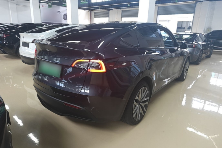 Tesla Model Y 2024 car image #7
