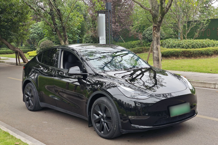 Tesla Model Y 2024 immagine di auto #5