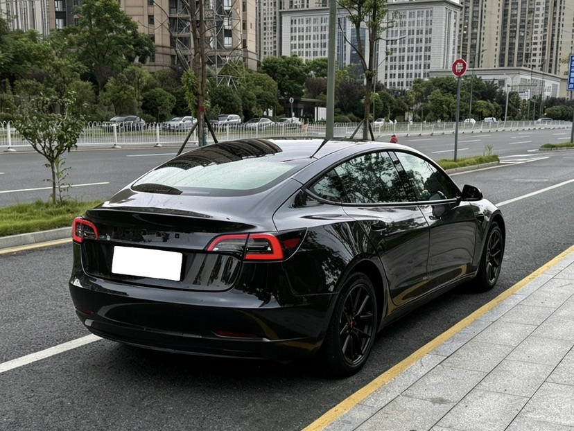 Tesla Model 3 2023 #9 Tesla Model 3 2023 car image #9