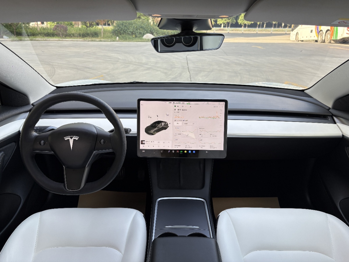 Tesla Model 3 2021 car image #5