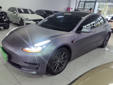 Tesla Model 3 2021 Tesla Model 3 2021 car image