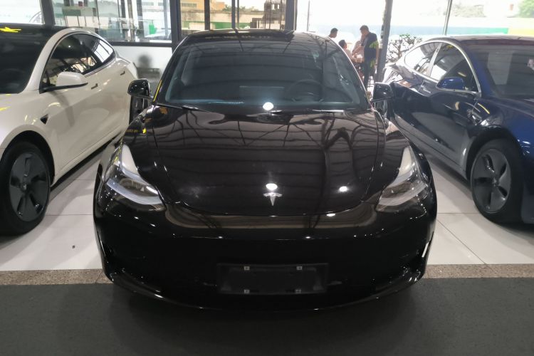 Tesla Model 3 2021 #3 Tesla Model 3 2021 car image #3