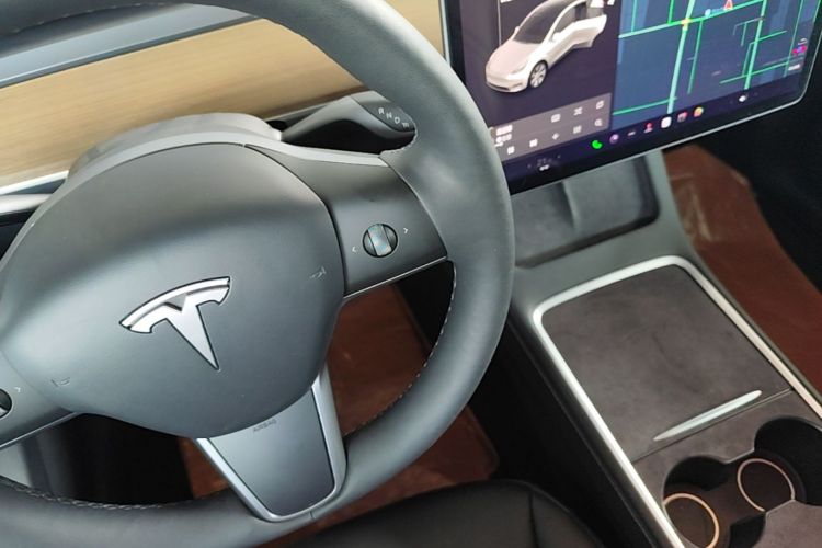 Tesla Model Y 2021 car image #14
