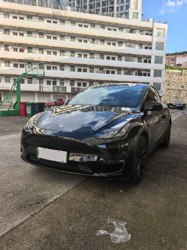 Tesla Model Y 2021 car image 