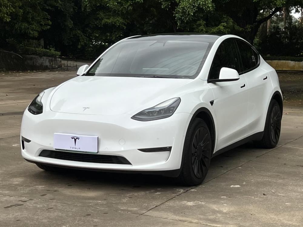 Tesla Model Y 2023 car image 