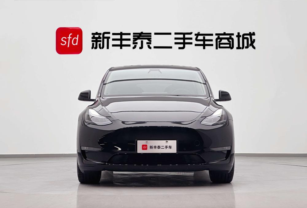 Tesla Model Y 2021 #2 Tesla Model Y 2021 car image #2