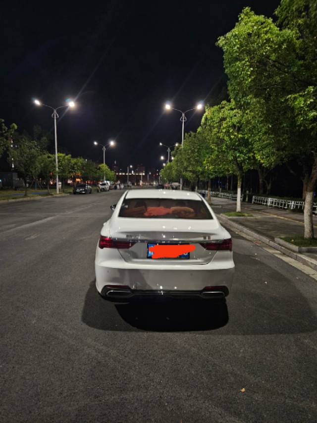 GEELY Binray 2019 immagine di auto #7