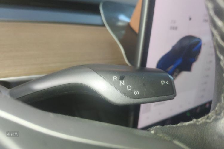 Tesla Model Y 2021 car image #16