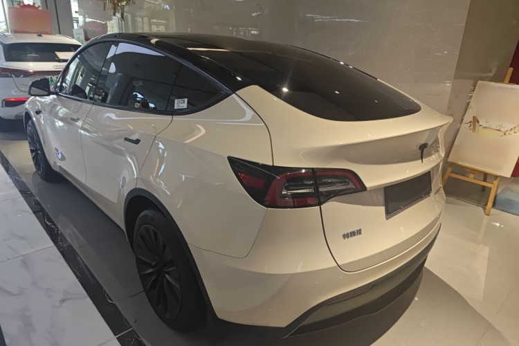 Tesla Model Y 2024 car image #5
