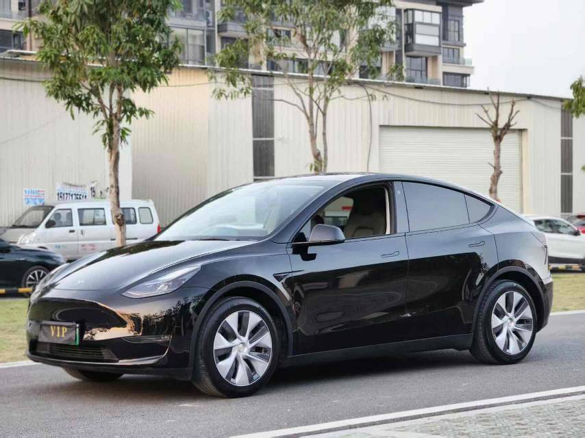 Tesla Model Y 2021 Tesla Model Y 2021 car image