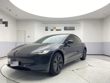 Tesla Model 3 2024 Tesla Model 3 2024 car image