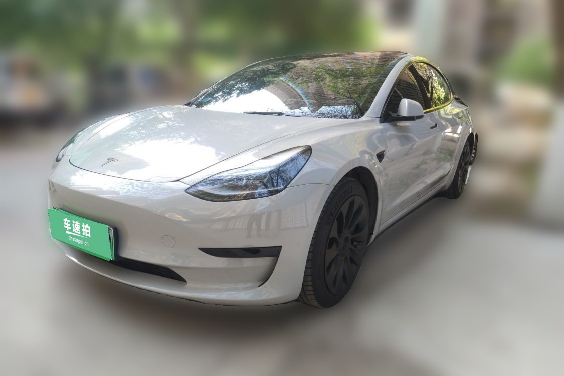 Tesla Model 3 2022 Tesla Model 3 2022 car image