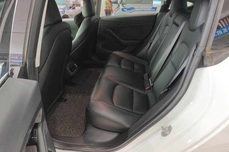 Tesla Model 3 2020 #17 Tesla Model 3 2020 car image #17