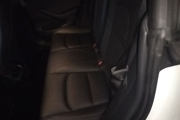 Tesla Model 3 2020 #17 Tesla Model 3 2020 car image #17