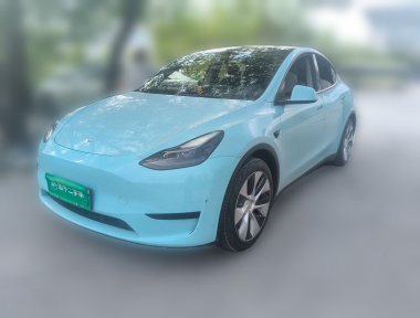 Tesla Model Y 2022 car image 