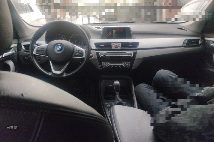 BMW X1 2017 imagem de carro #11