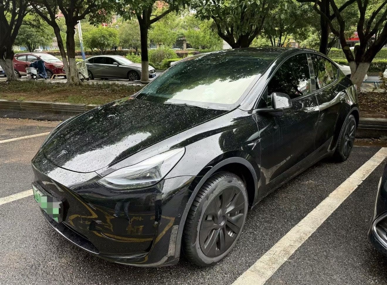 Tesla Model Y 2023 Tesla Model Y 2023 car image