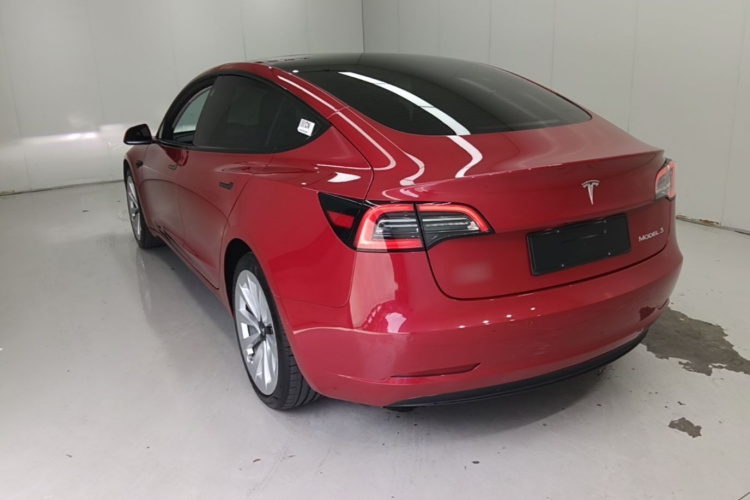 Tesla Model 3 2021 #7 Tesla Model 3 2021 car image #7