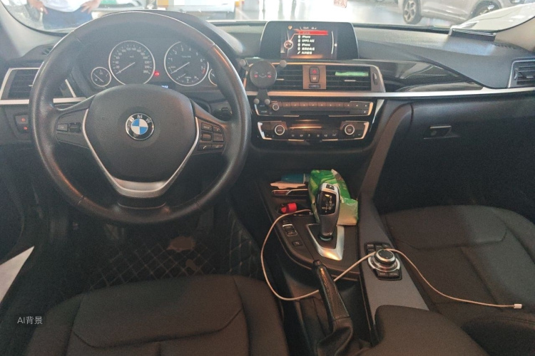 BMW 3 Series 2016 car image #11