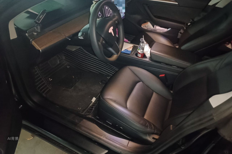 Tesla Model 3 2021 car image #18