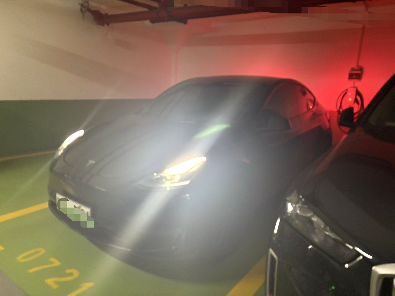 Tesla Model Y 2021 Tesla Model Y 2021 car image