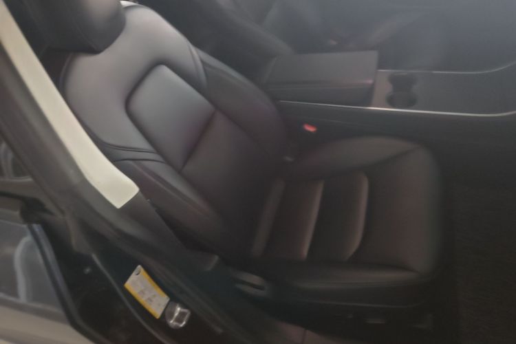 Tesla Model 3 2020 car image #24