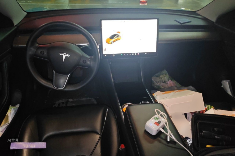 Tesla Model 3 2020 immagine di auto #11