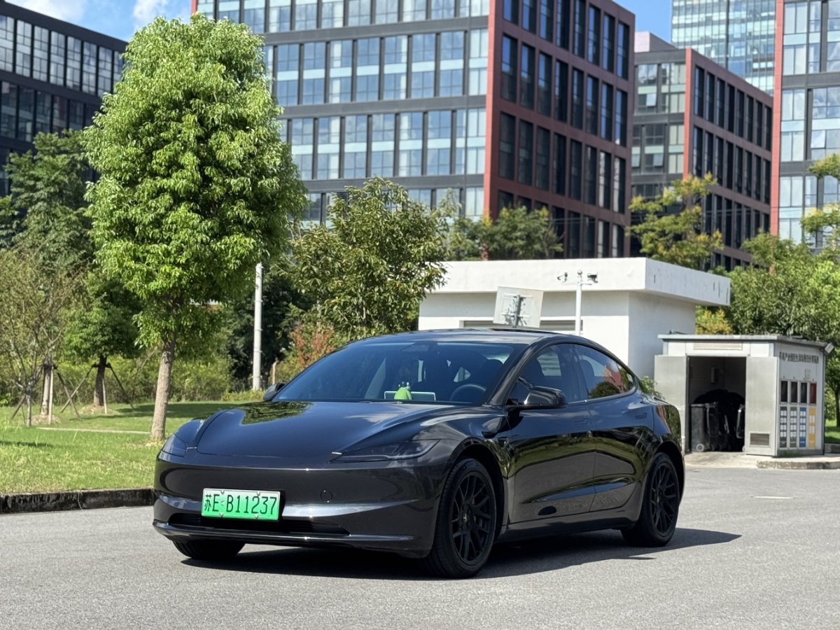 Tesla Model 3 2024 Tesla Model 3 2024 car image